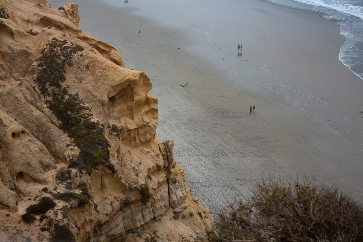 Torrey Pines cliffs and ocean views
