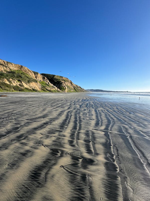 Torrey Pines trail along the coast